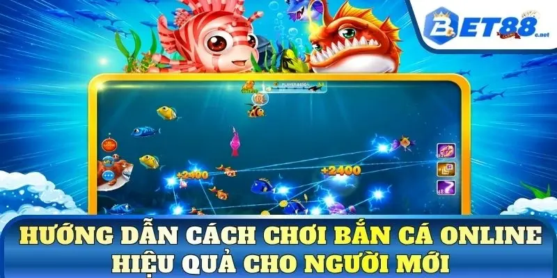 Hướng dẫn cách chơi bắn cá online hiệu quả cho người mới