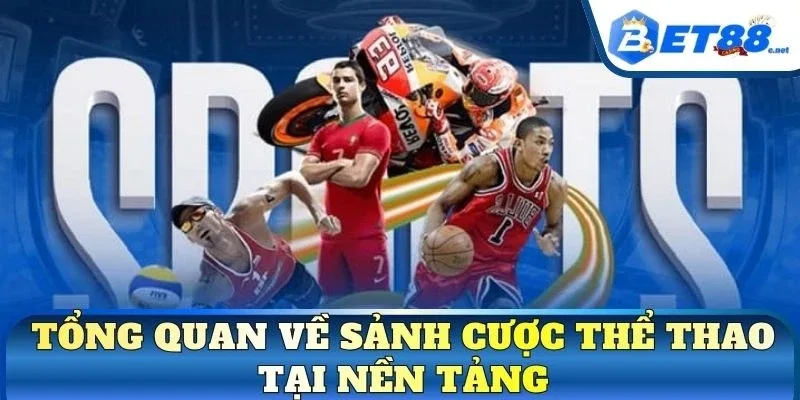 Tổng quan về sảnh cược thể thao tại nền tảng